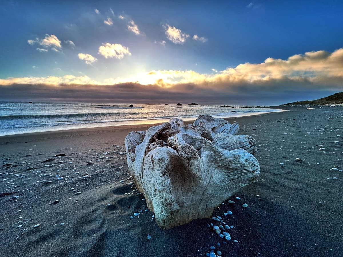 Photography by Jon Levesque