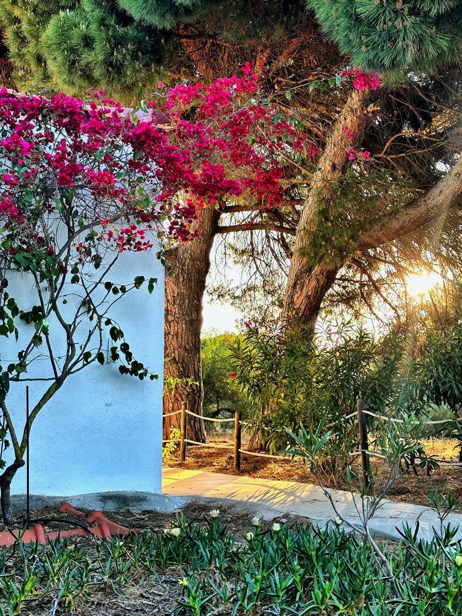 Photography by Jon Levesque