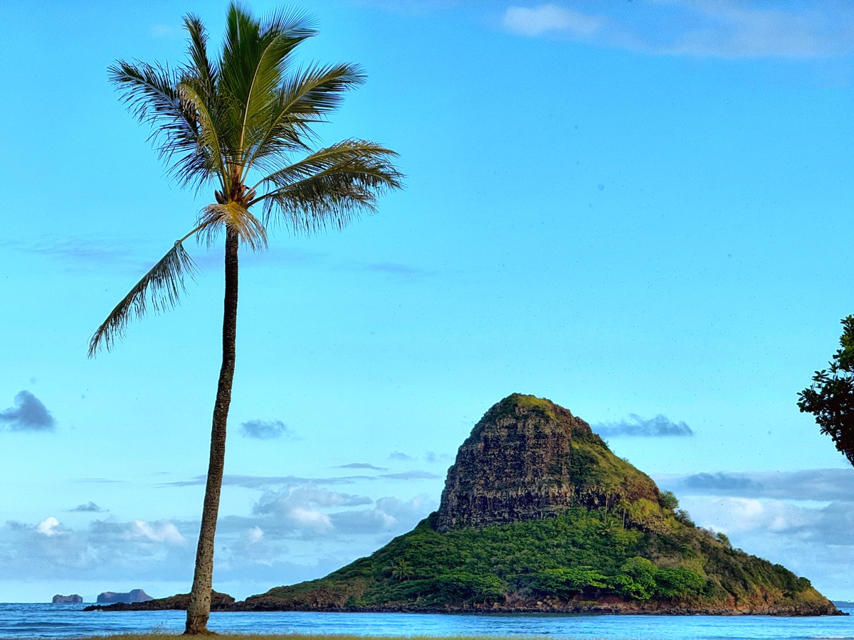 Photography by Jon Levesque